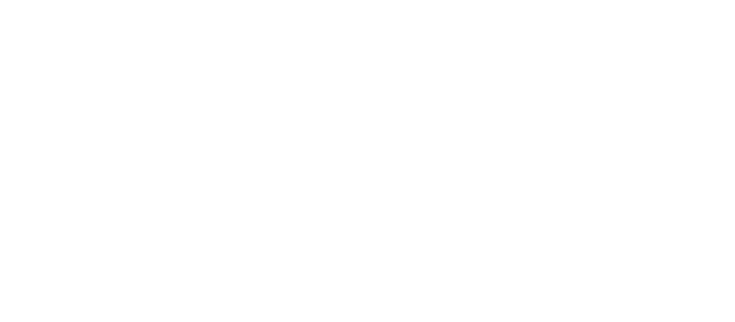 Prancer Capital